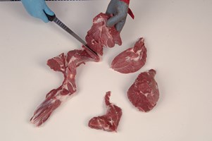 Meat Cut Spec Step 10